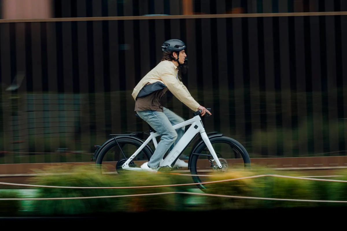 Biciclette elettriche premium - immagine 3