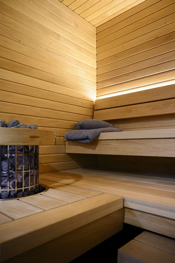 Saune domestiche - immagine 6