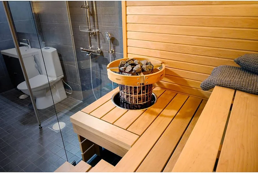 Saune domestiche - immagine 7