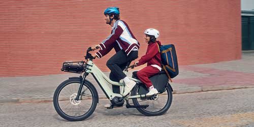 Biciclette cargo elettriche - immagine 21