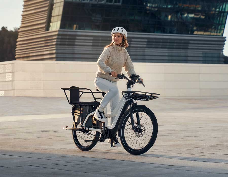 Biciclette cargo elettriche - immagine 7